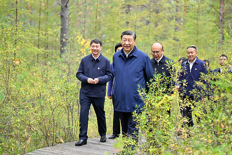 9月6日至8日，中共中央總書(shū)記、國(guó)家主席、中央軍委主席習(xí)近平在黑龍江考察。這是6日下午，習(xí)近平在大興安嶺地區(qū)漠河市漠河林場(chǎng)自然林區(qū)考察